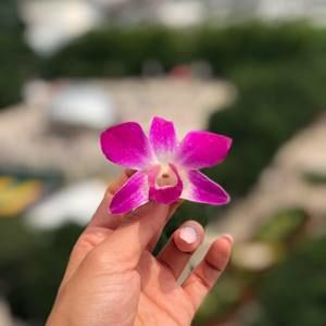 Meet your Posher, Alex!